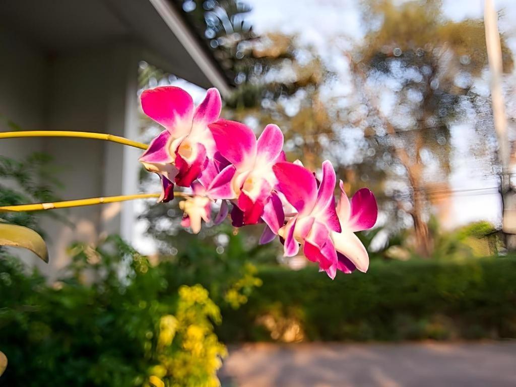 Chayada Garden House And Resort Hotel Nakhonratcsaszima Kültér fotó